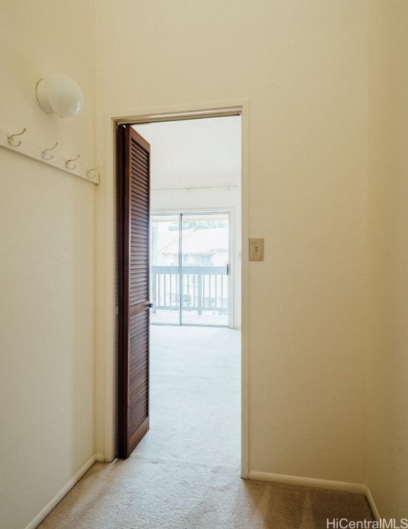 hallway featuring carpet floors