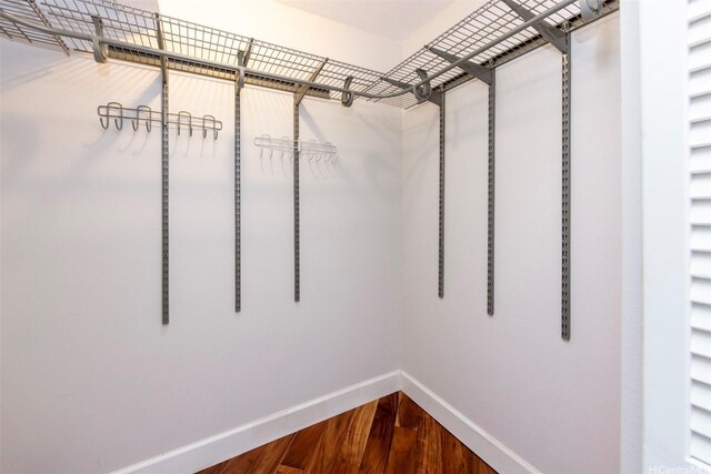 walk in closet with wood finished floors