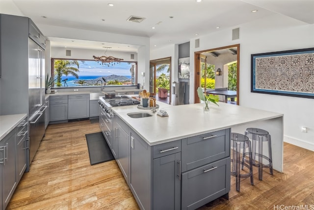 kitchen with gray cabinets, light hardwood / wood-style flooring, and an island with sink