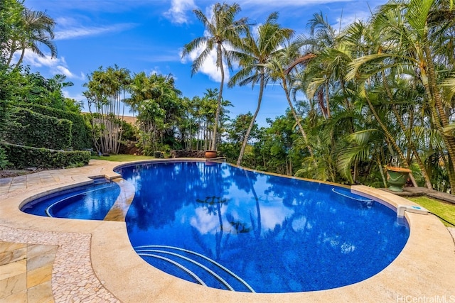 view of pool featuring a patio area