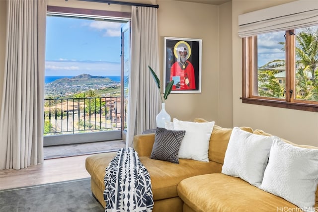 living room with a mountain view, hardwood / wood-style flooring, and a wealth of natural light