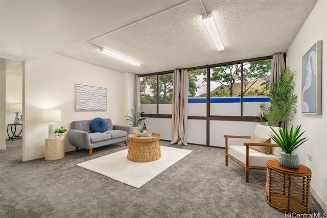 carpeted living room featuring a textured ceiling and rail lighting