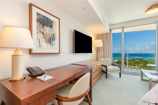 office space with a wall of windows and light colored carpet