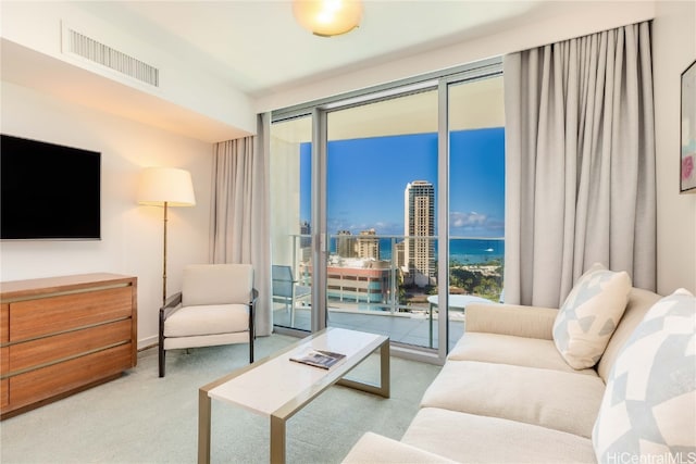 carpeted living room with expansive windows