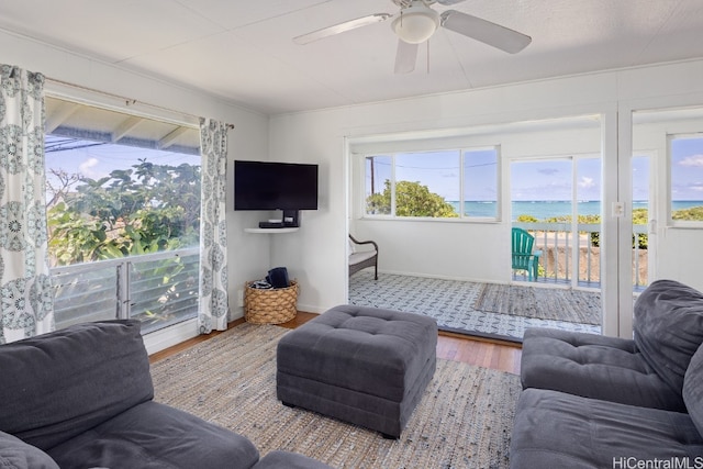 living room featuring ceiling fan, a wealth of natural light, and hardwood / wood-style floors