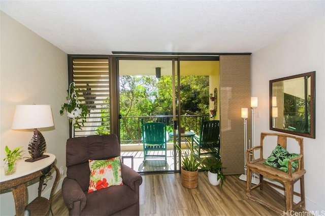 doorway with hardwood / wood-style flooring and expansive windows