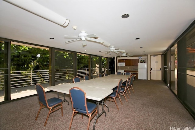 dining area with carpet floors, expansive windows, and ceiling fan