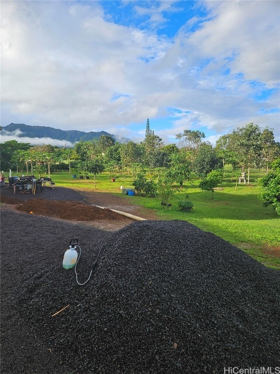 view of home's community featuring a mountain view and a yard