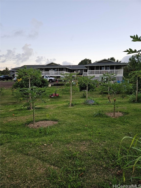 view of yard