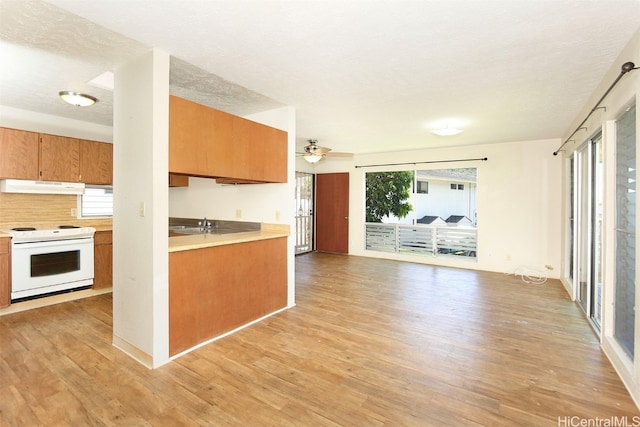 kitchen with sink, light wood-type flooring, white electric stove, a textured ceiling, and ceiling fan