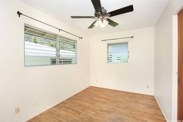 3360 E Manoa Rd Unit C, Honolulu, HI 96822 - photo 17
