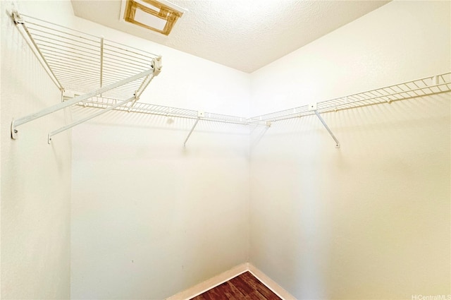 3360 E Manoa Rd Unit C, Honolulu, HI 96822 - photo 12