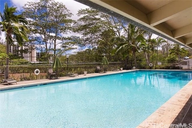 view of swimming pool