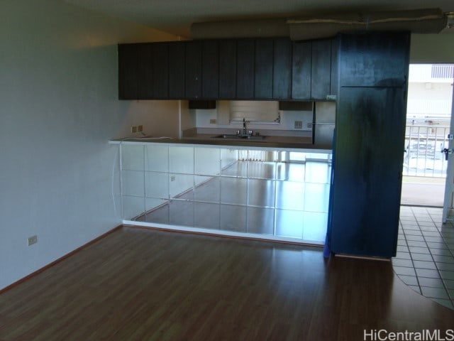 kitchen with a wealth of natural light, sink, and dark hardwood / wood-style flooring