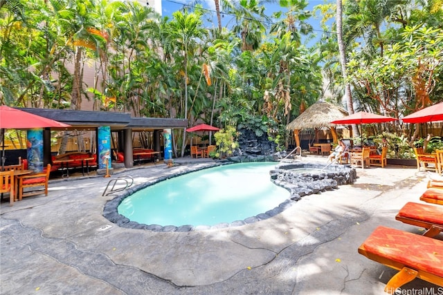 view of swimming pool with a patio area