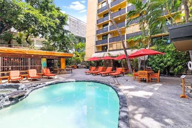 view of pool with a patio area