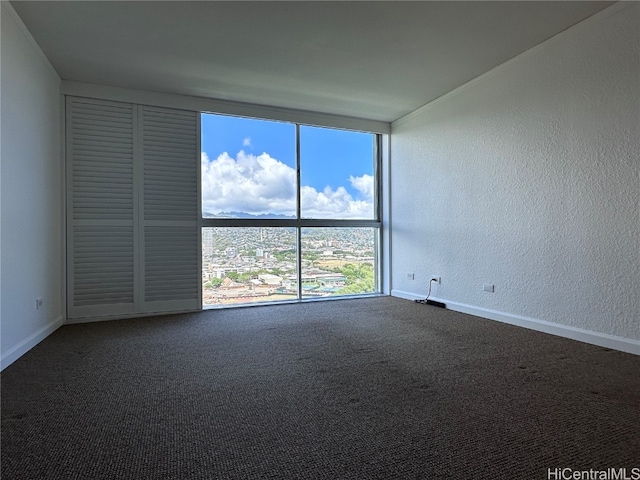 carpeted spare room with plenty of natural light