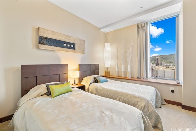 view of carpeted bedroom