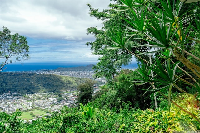 3953 Round Top Dr, Honolulu, HI 96822