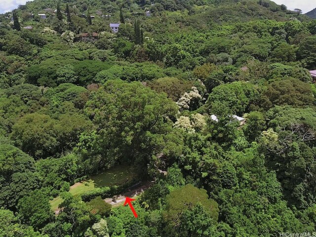 3953 Round Top Dr, Honolulu, HI 96822