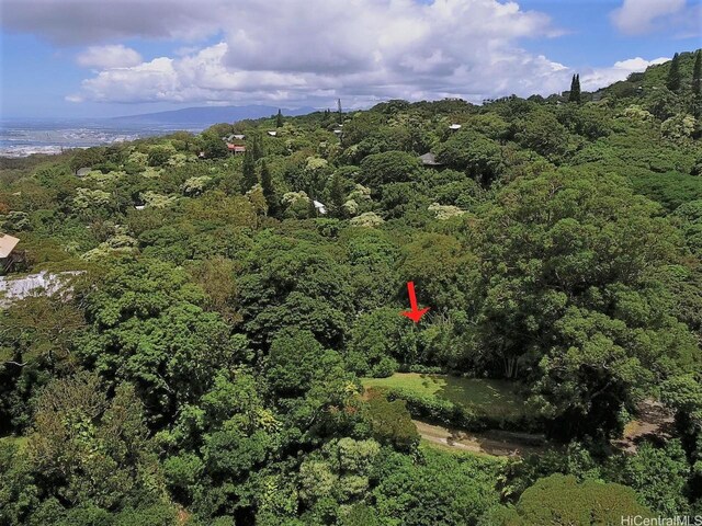 3953 Round Top Dr, Honolulu, HI 96822