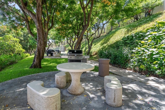 view of patio / terrace featuring grilling area