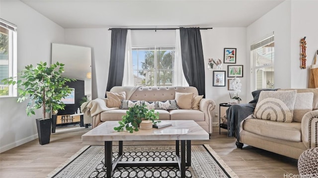 living room with light hardwood / wood-style floors and a wealth of natural light