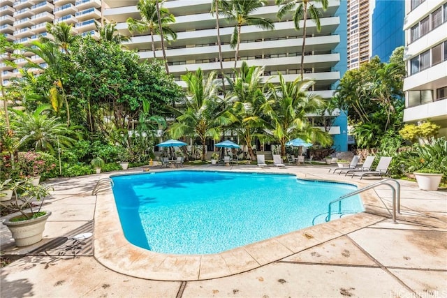 view of swimming pool featuring a patio