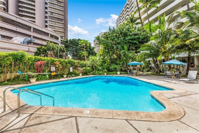 view of pool featuring a patio area