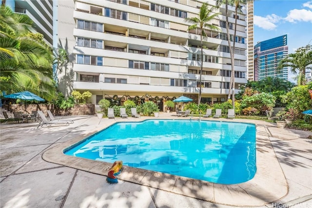 view of swimming pool with a patio