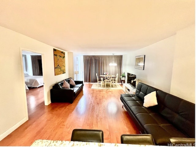 living room with hardwood / wood-style floors