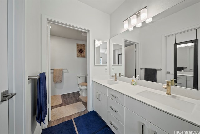 bathroom featuring toilet, vanity, and wood-type flooring