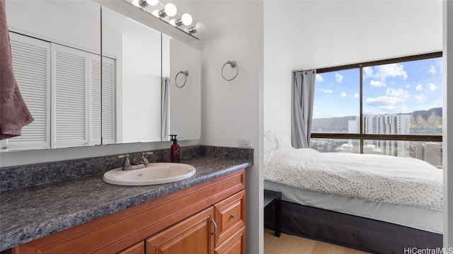 bathroom featuring vanity, a mountain view, and hardwood / wood-style flooring