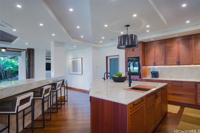 kitchen with tasteful backsplash, a large island with sink, dark wood-type flooring, pendant lighting, and light stone counters