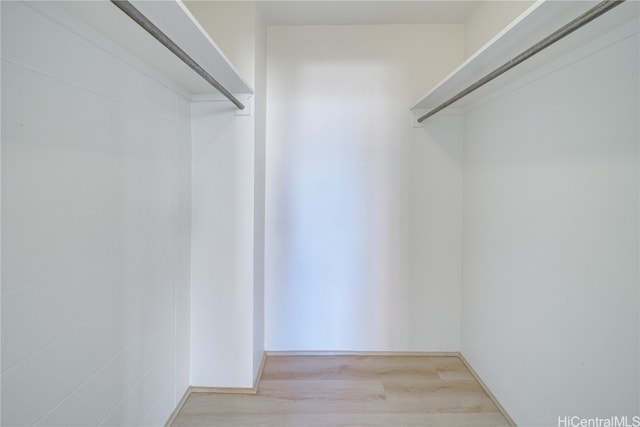 walk in closet featuring hardwood / wood-style floors