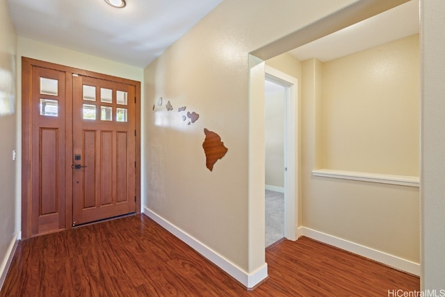 foyer entrance featuring dark wood-type flooring