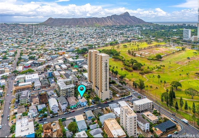 aerial view with a mountain view