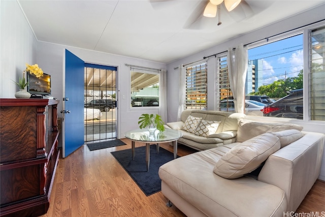 living room with hardwood / wood-style flooring and ceiling fan