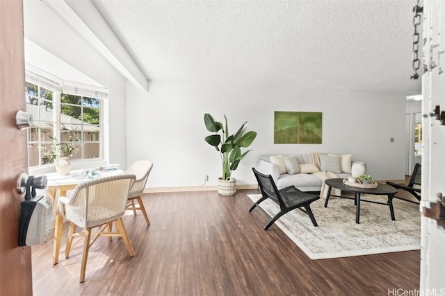 44-104 Ikeanani Dr Unit 313, Kaneohe, HI 96744 - living area featuring a textured ceiling, wood finished floors, and baseboards