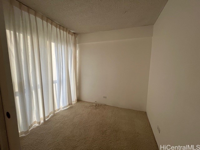 empty room featuring a textured ceiling and carpet flooring