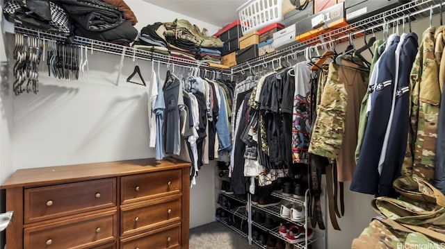 walk in closet featuring carpet