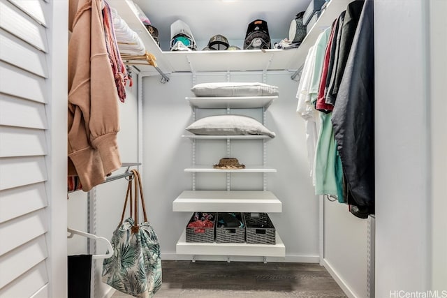 spacious closet featuring dark hardwood / wood-style floors