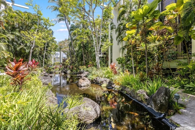 view of yard featuring a small pond