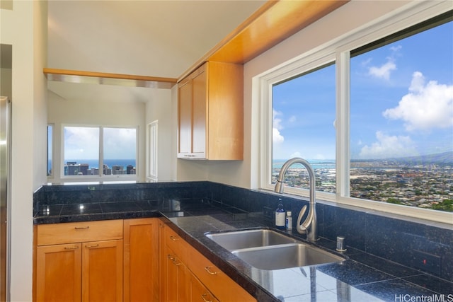 kitchen with decorative backsplash, a wealth of natural light, and sink