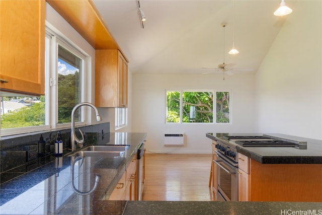 kitchen featuring sink, light wood-type flooring, stainless steel appliances, and vaulted ceiling