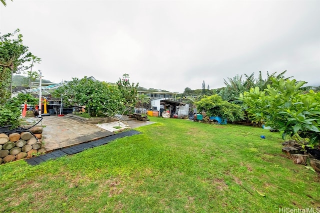 view of yard featuring a patio