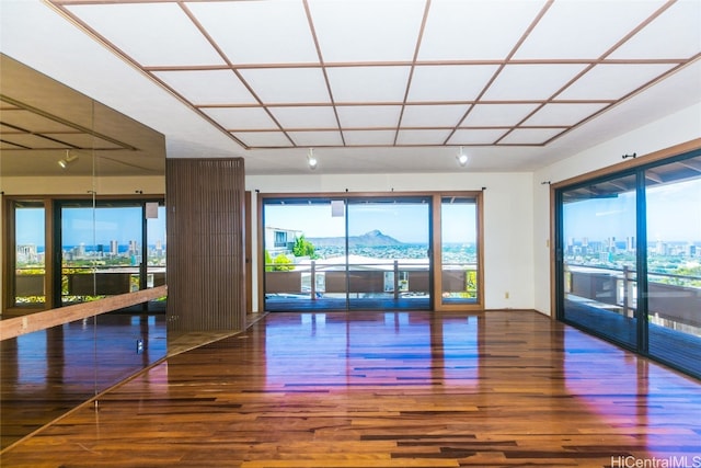 interior space with a mountain view, dark hardwood / wood-style floors, and rail lighting