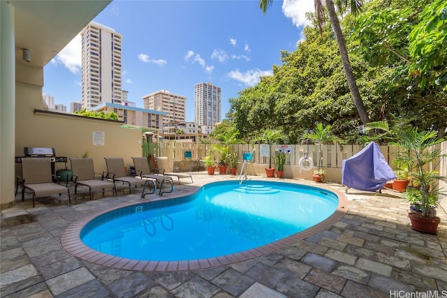 view of swimming pool with a patio