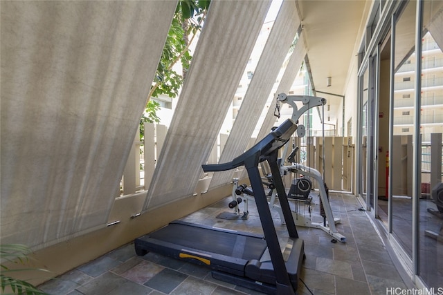 exercise area with plenty of natural light