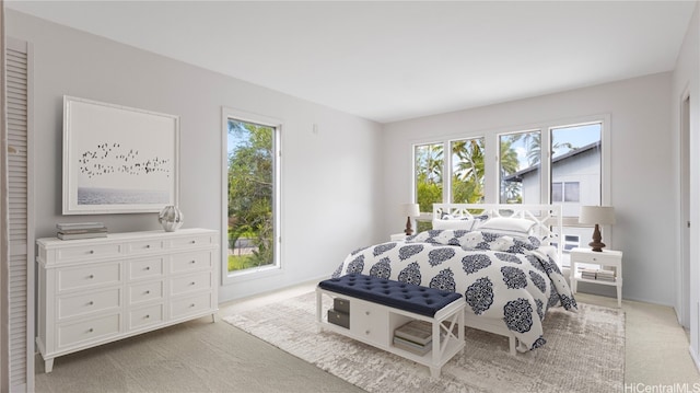 carpeted bedroom with multiple windows